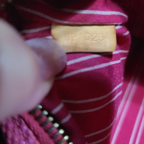 Louis Vuitton Irridencent Bag - Picture 13 of 16